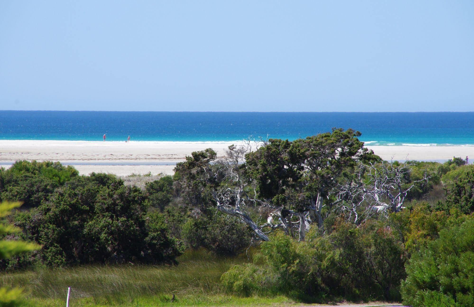 Surfside Ocean Beach Denmark Holiday Accommodation Extérieur photo